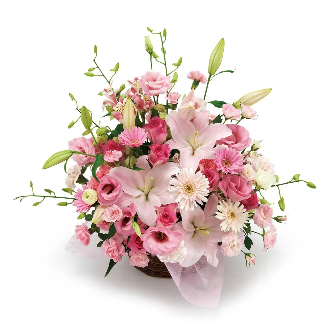 brilliant arrangement