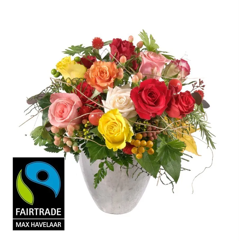 Bellissima ... mit kleinblütigen Fairtrade Max Havelaar-Rosen
