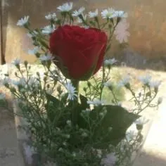 Single Flower - Myanmar (Burma)