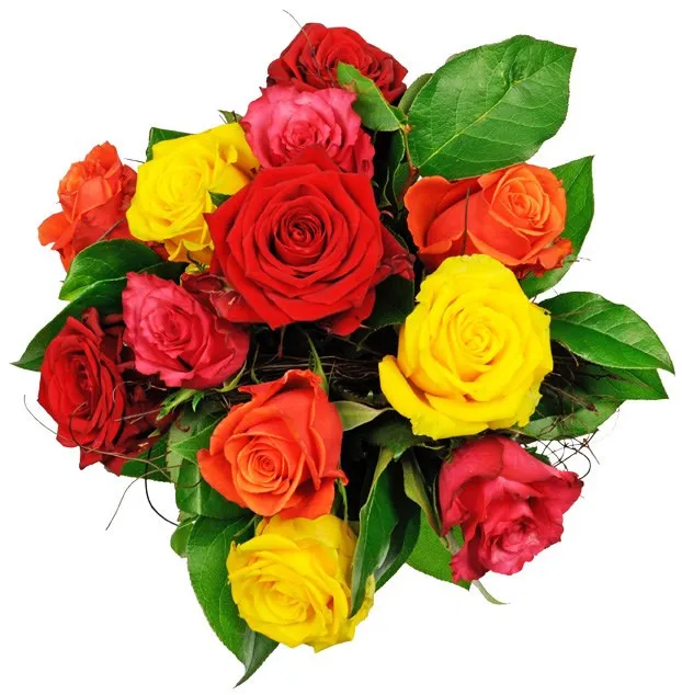 Affection Mixed Roses - Iran