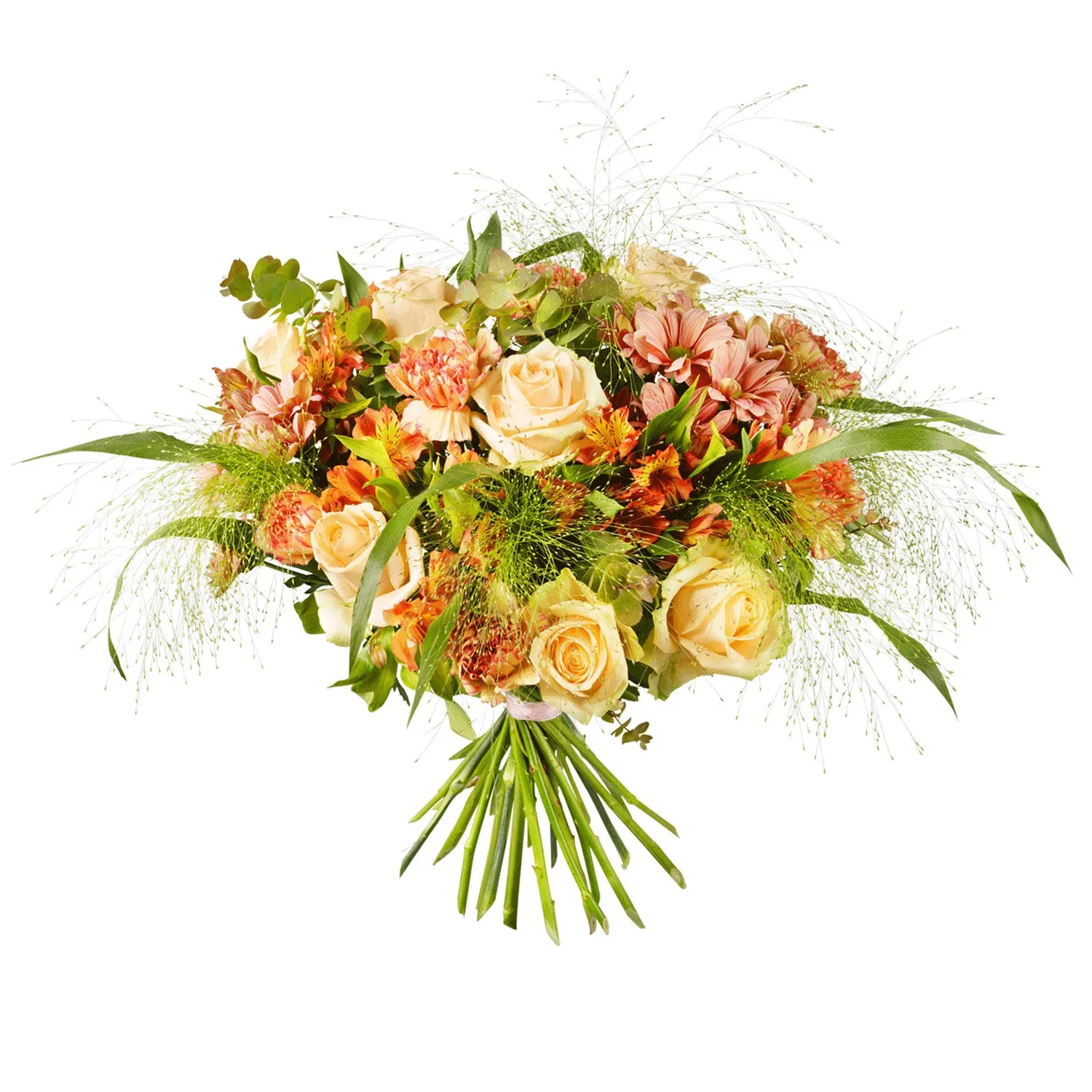 Grand Apricot