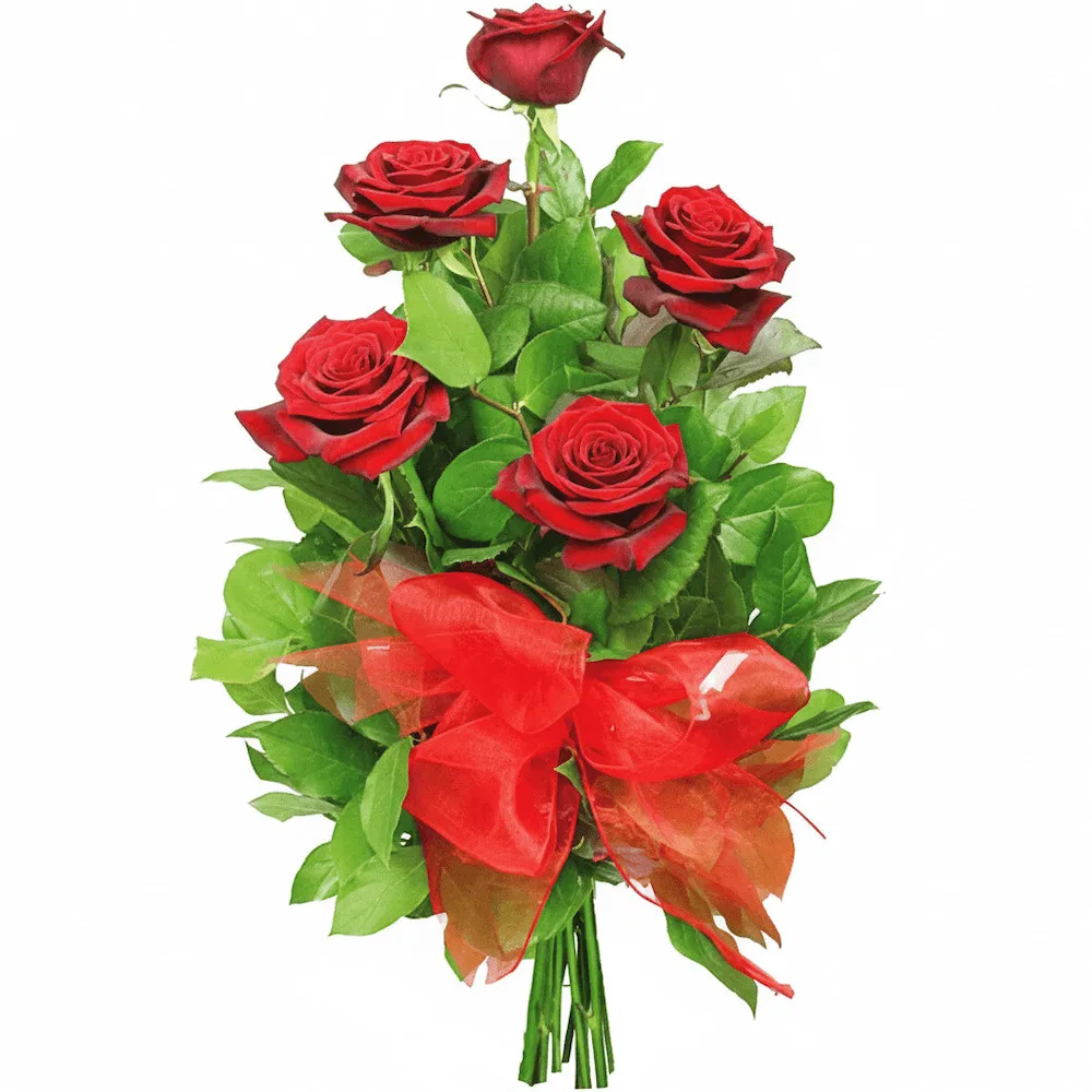 Red roses with ribbon on delivery, flowers for beloved, flowers for lovers