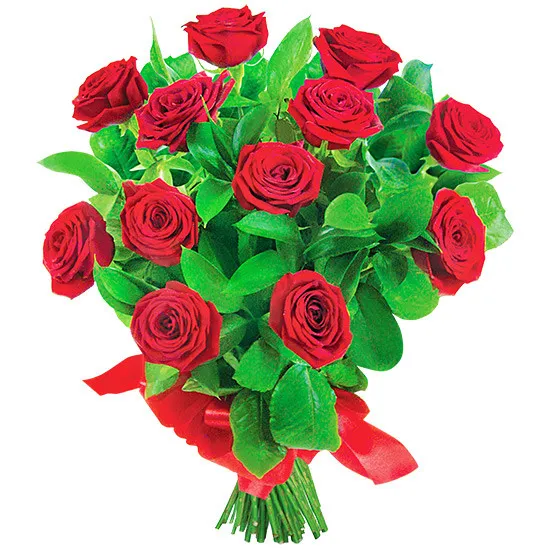 Eros' flowers, 12 red roses with fern, a bouquet of red roses