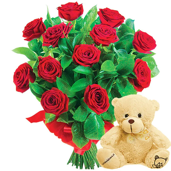 Red rose bouquet with ribbon and mascot, plush teddy bear, teddy surprise.