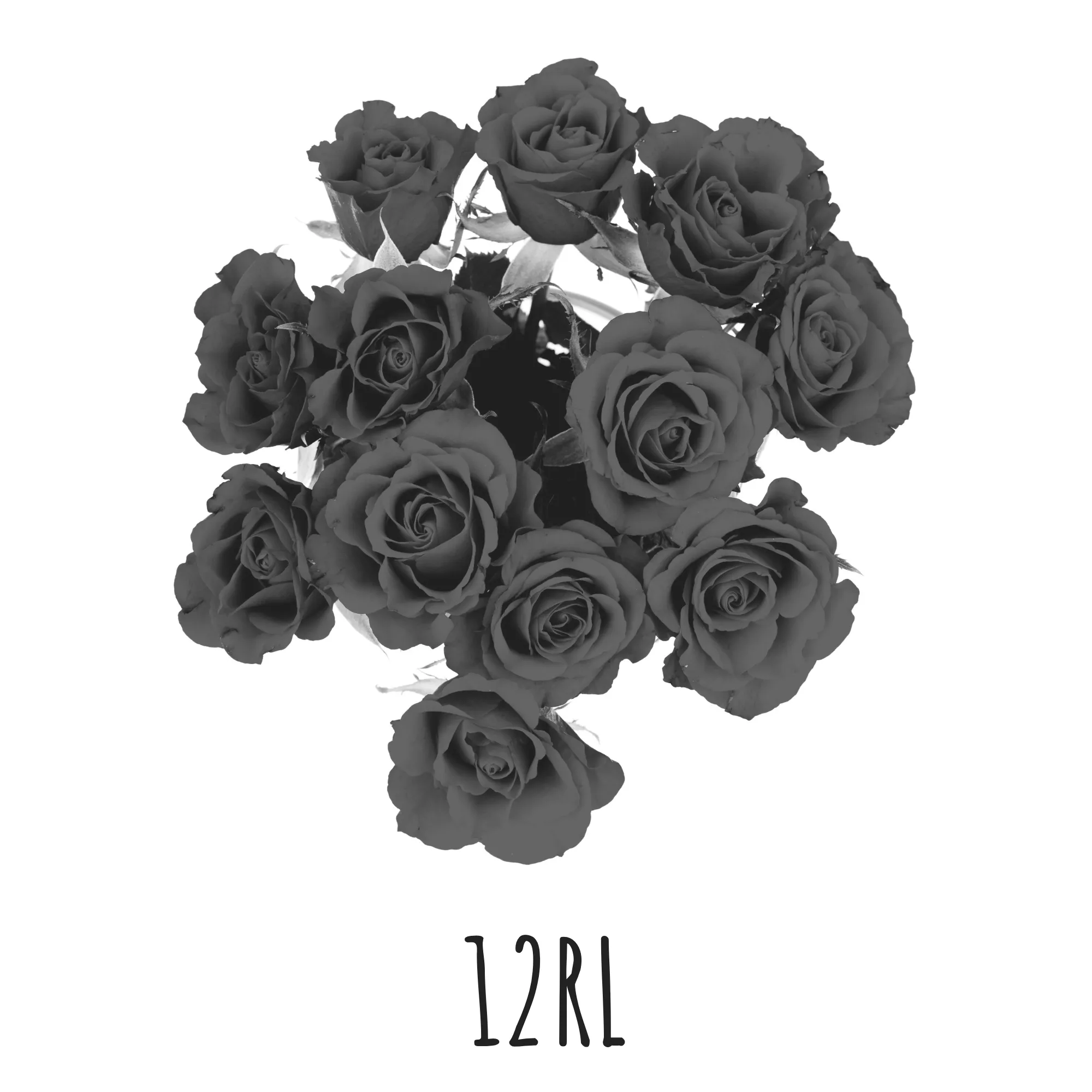 12 roses long stemmed