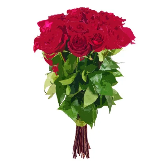 12 roses medium stemmed