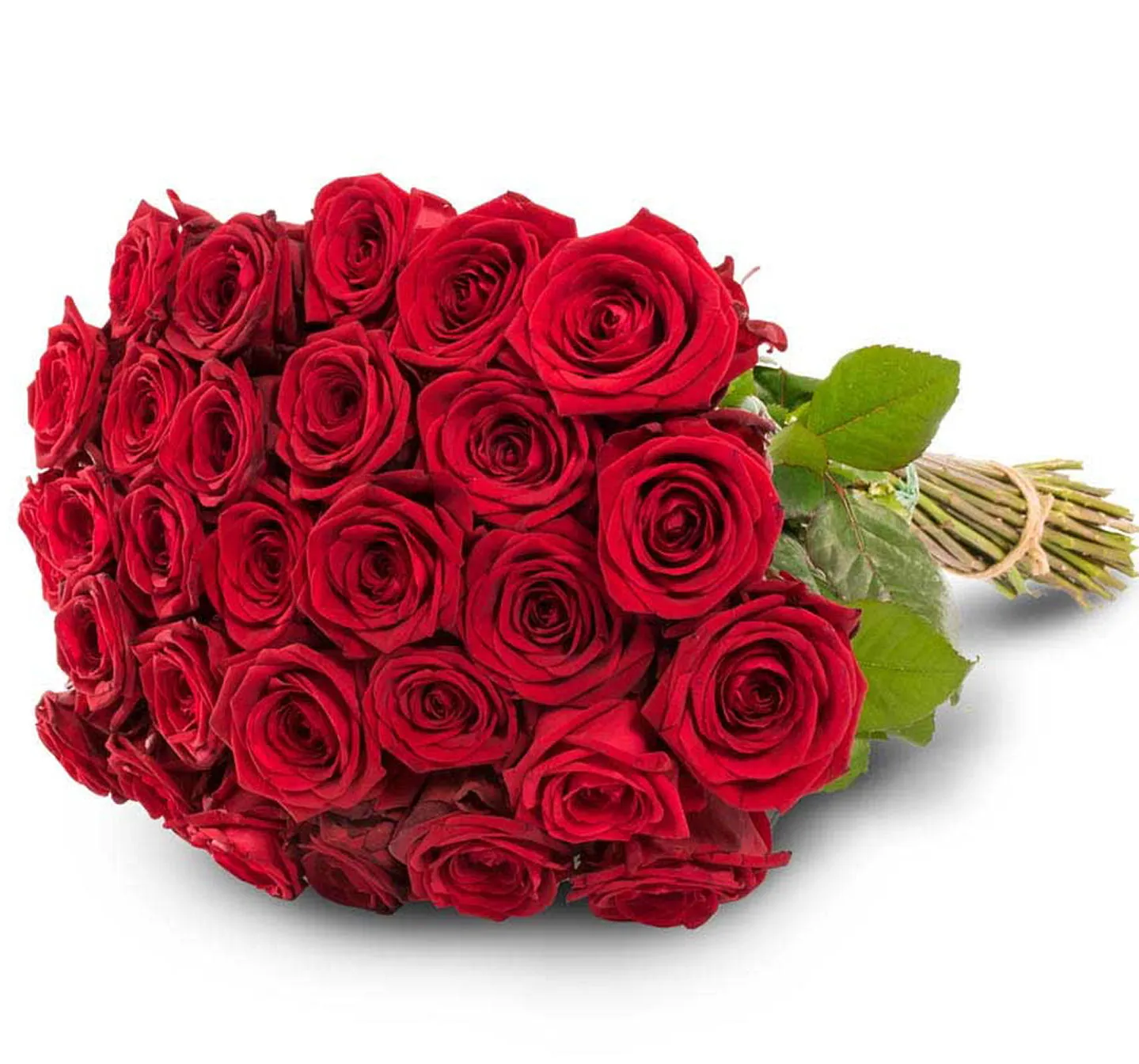 30 red roses