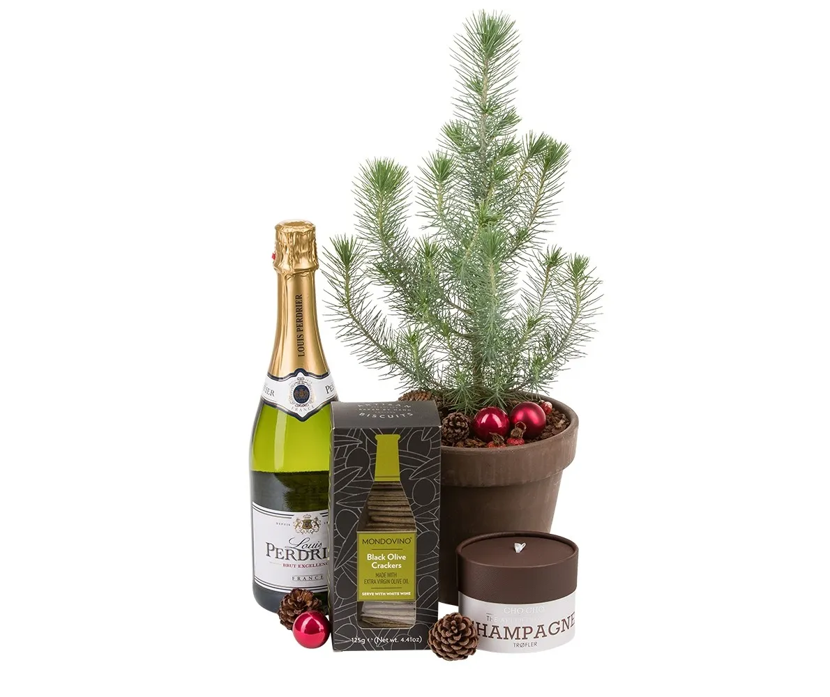 Mom's Christmas Delight