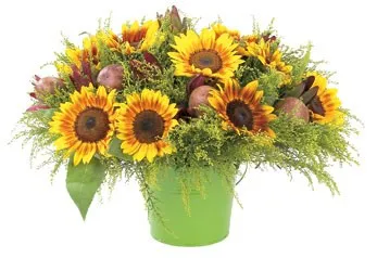 Summer Fun bouquet - Israel