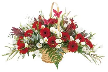 Basket Arrangement - Israel