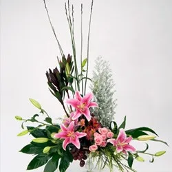 Elegance High Arrangement - Israel