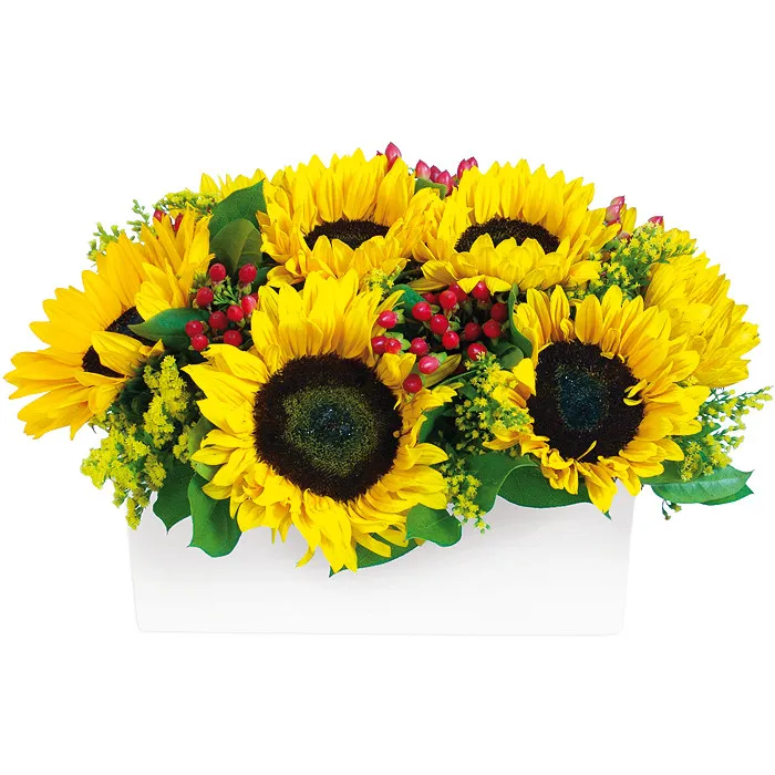 A dish with beautiful flowers. A sunflower is a unique gift - Poczta Kwiatowa®  recommend