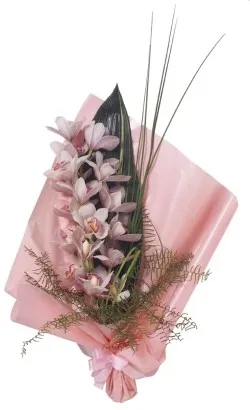 Pastelowe orchidee