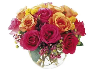 One Dozen Boxed Roses