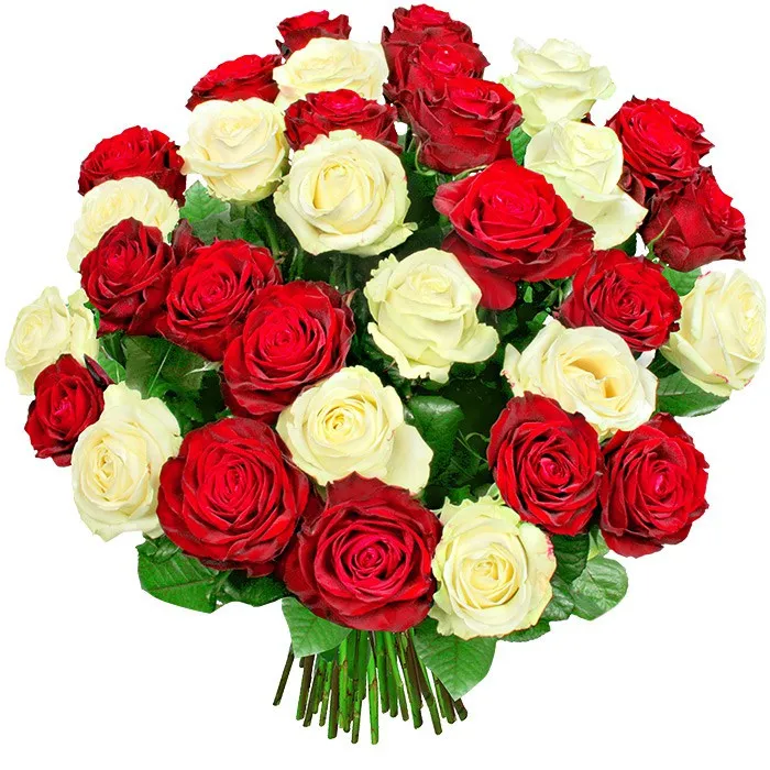 bukiet duet, bukiet kwiatów, bukiet z 35 róż, róże białe, róże czerwone