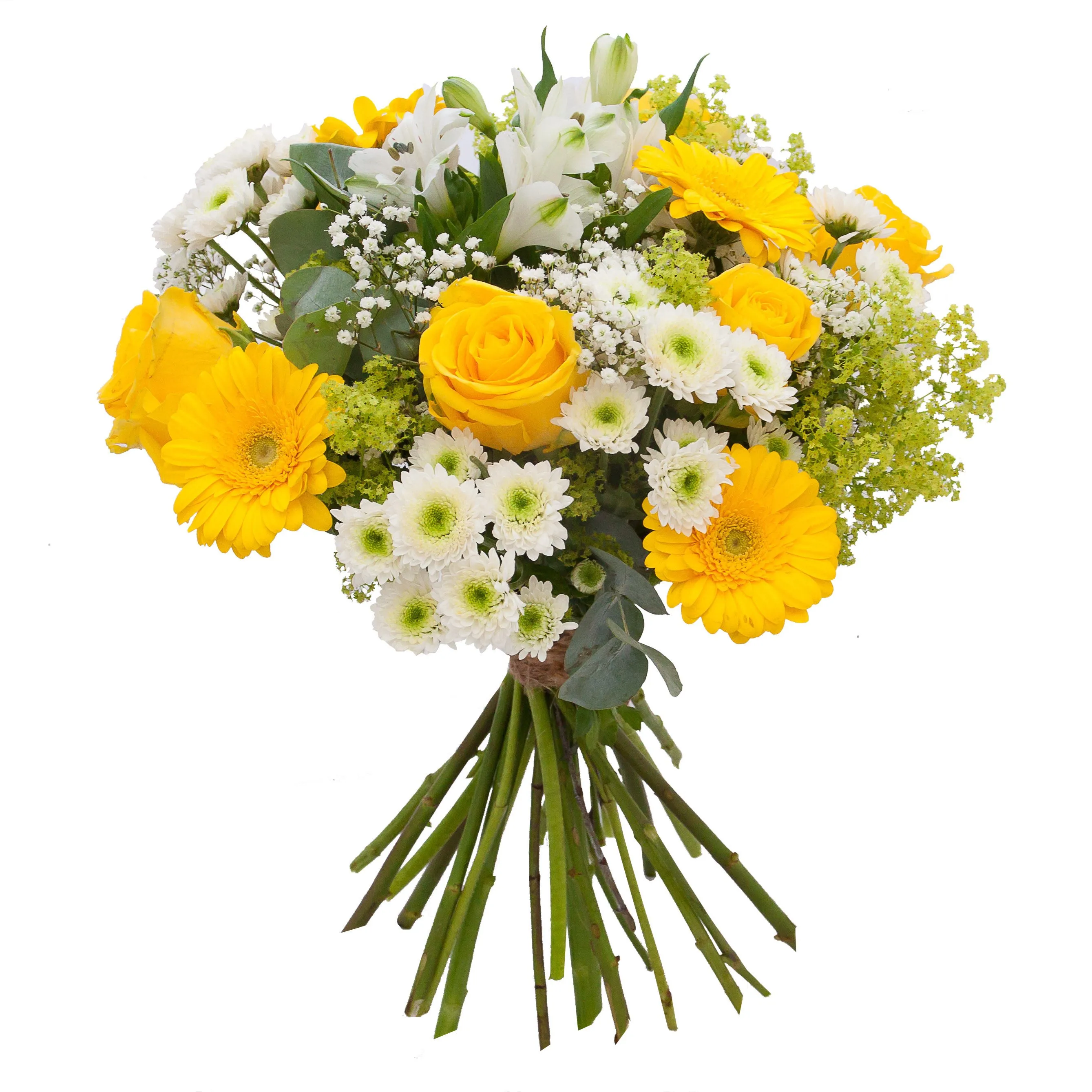 Bukiet Sunlight