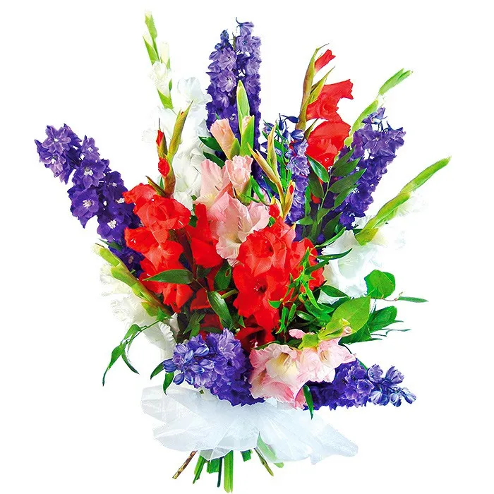 Bouquet huge applause, colourful gladiolas, decorative greenery,  bouquet of flowers wrapped in white organza