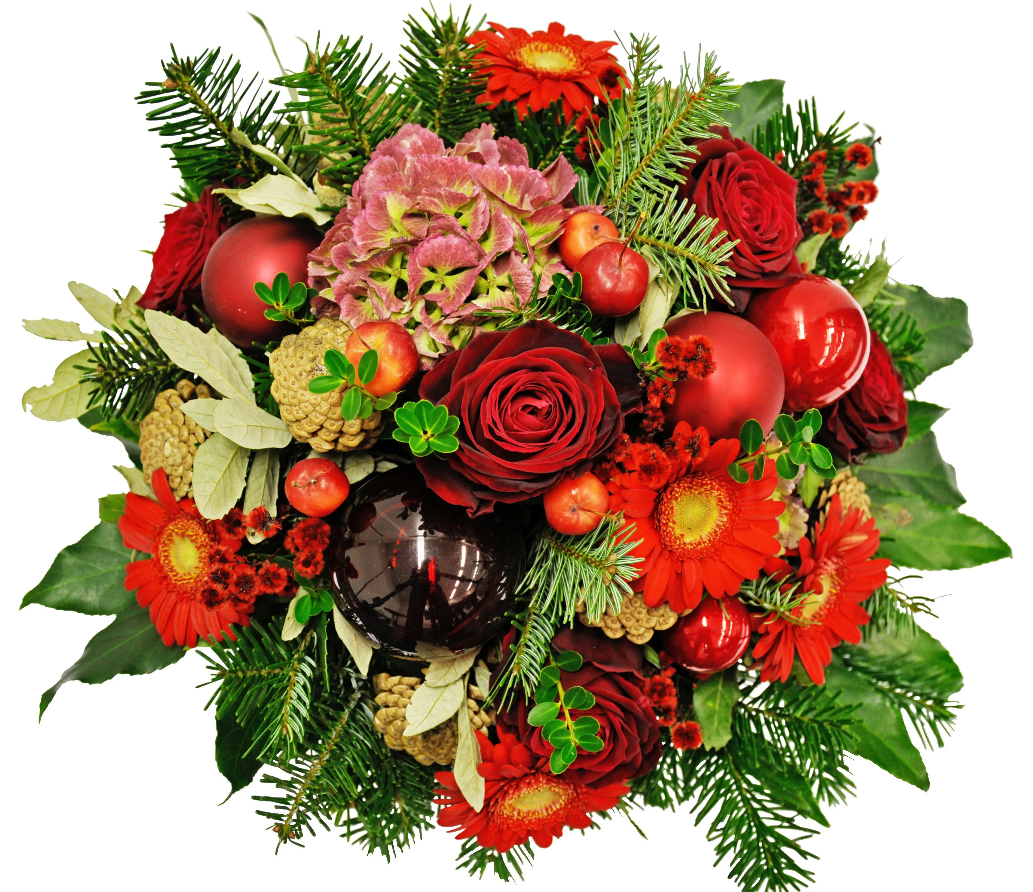 Świąteczny podarunek