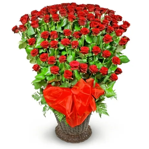 kompozycja różana kaskada, kompozycja kwiatów w wiklinowym koszu, 100 czerwonych róż, róże ułożone stopniowo, czerwona organza