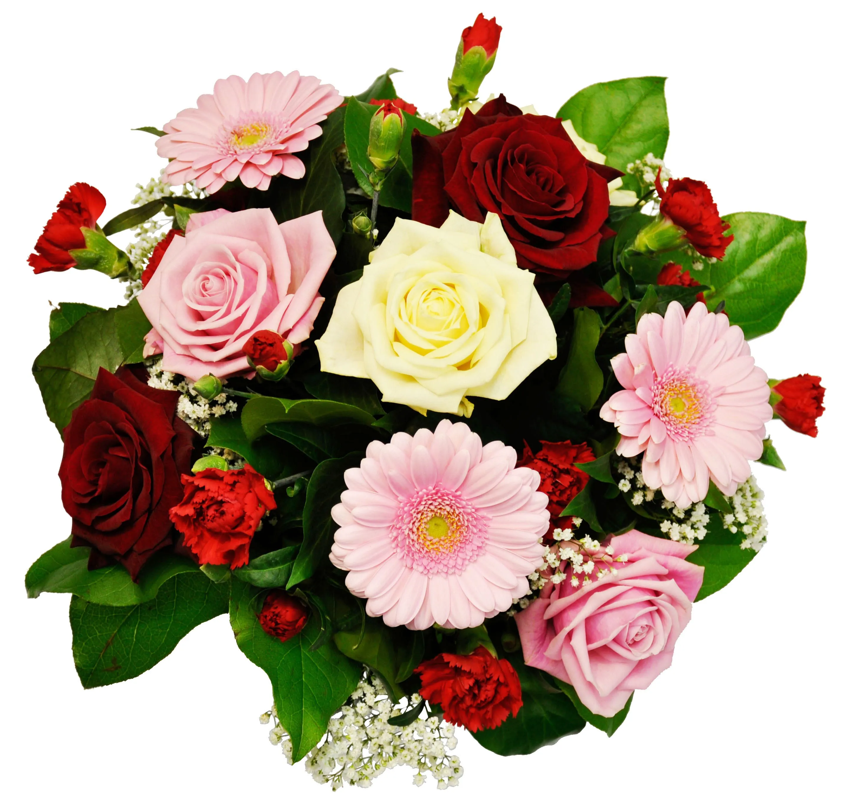 Flower Power - Serbia