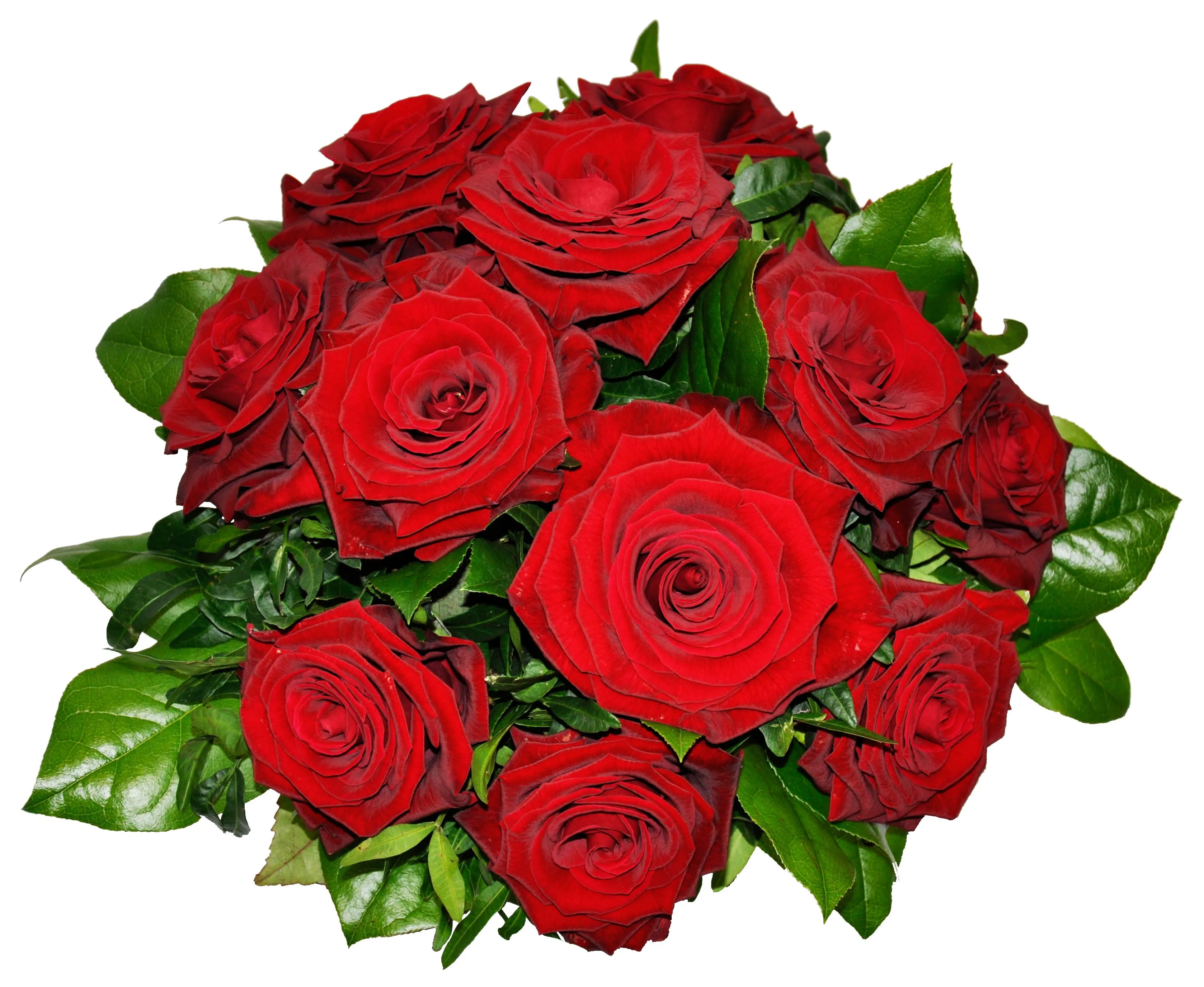Round bouquet of 12 red Roses with some green filler - Syria