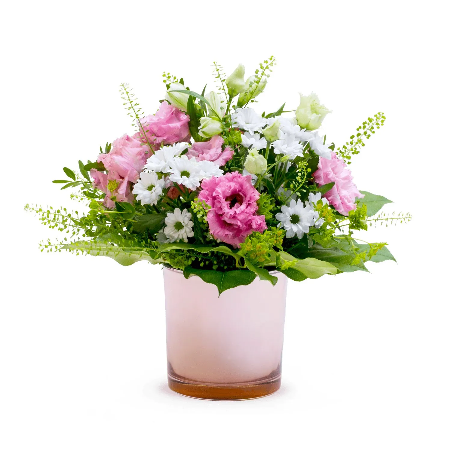 TENDER AND ROMANTIC - Czechia