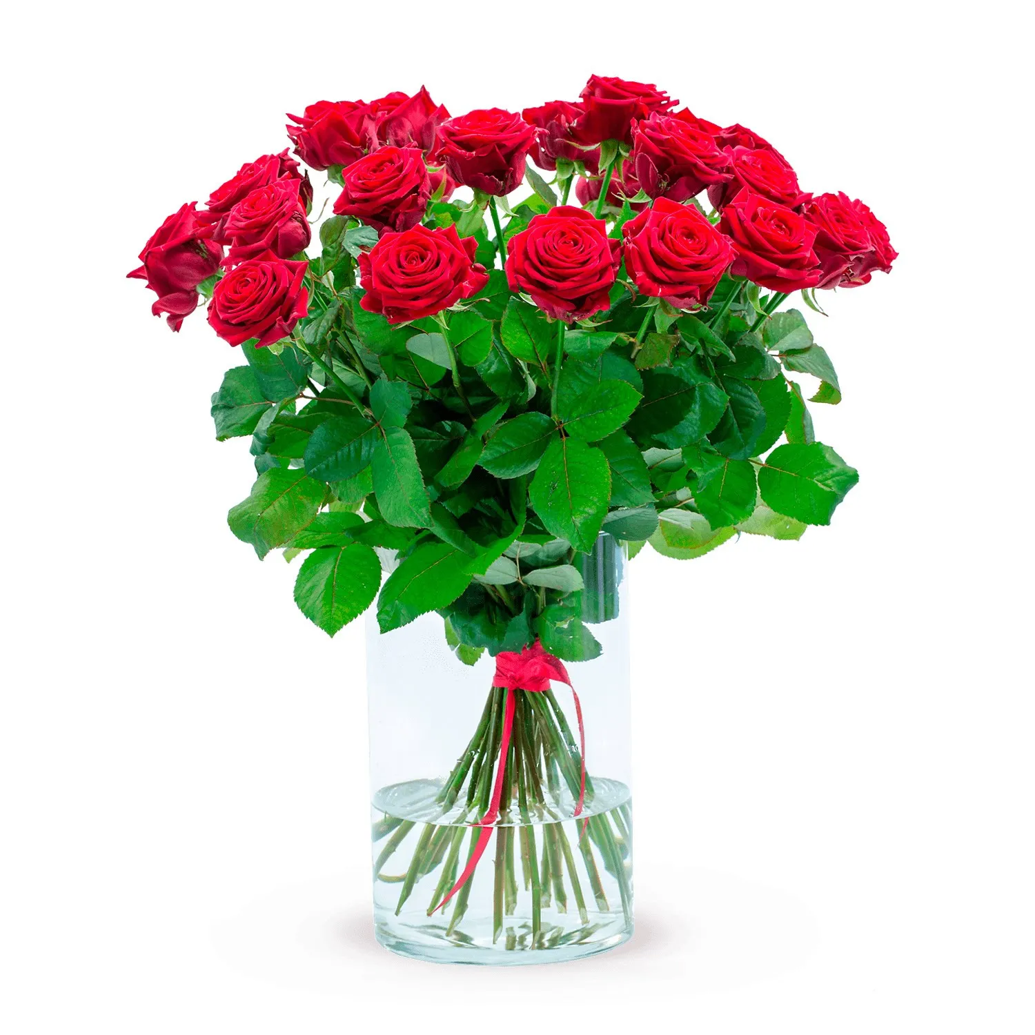 FOR THE QUEEN OF YOUR HEART - Czechia