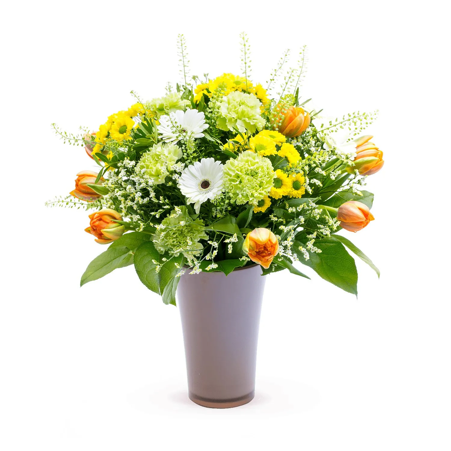 BIRTHDAY SURPRISE - Czechia