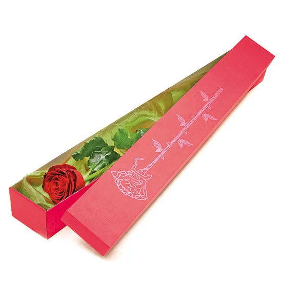 Elegancka róża w czerwonym pudełku, czerwona róża z dekoracją w pudełku