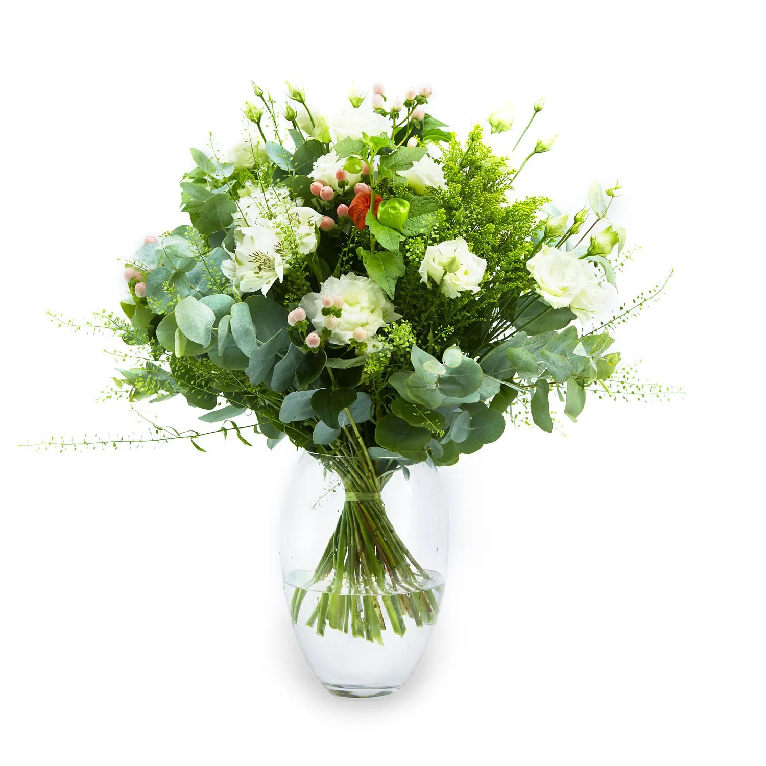 The Elegance Of White Flowers - Czechia
