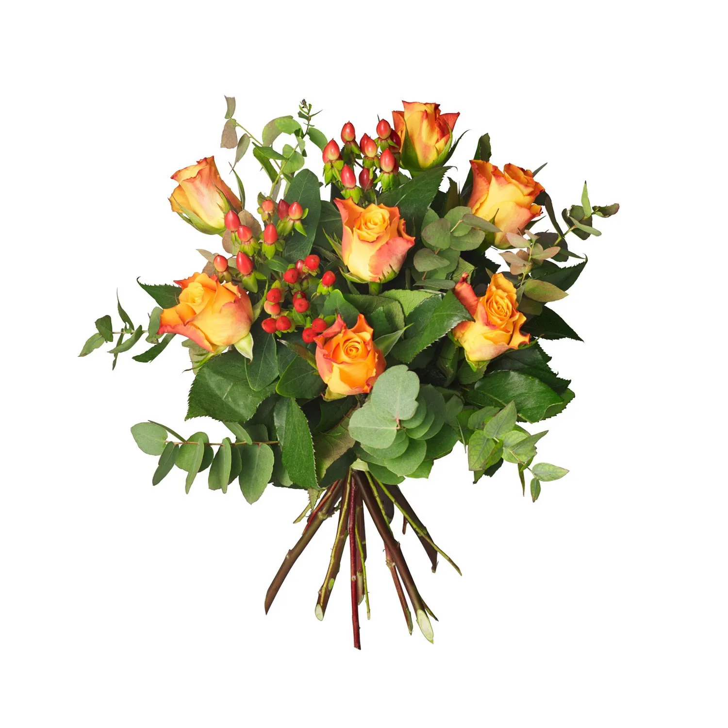 Autumn roses - Sweden