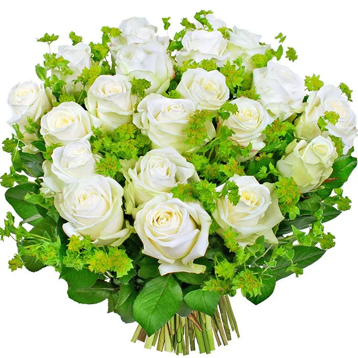white revelation flowers, 20 white roses with additives, bouquet of white roses with delivery.