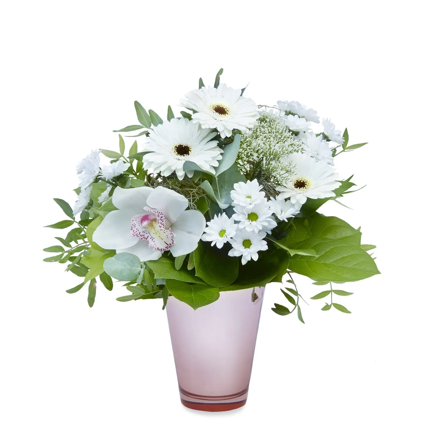 White Caress - Czechia