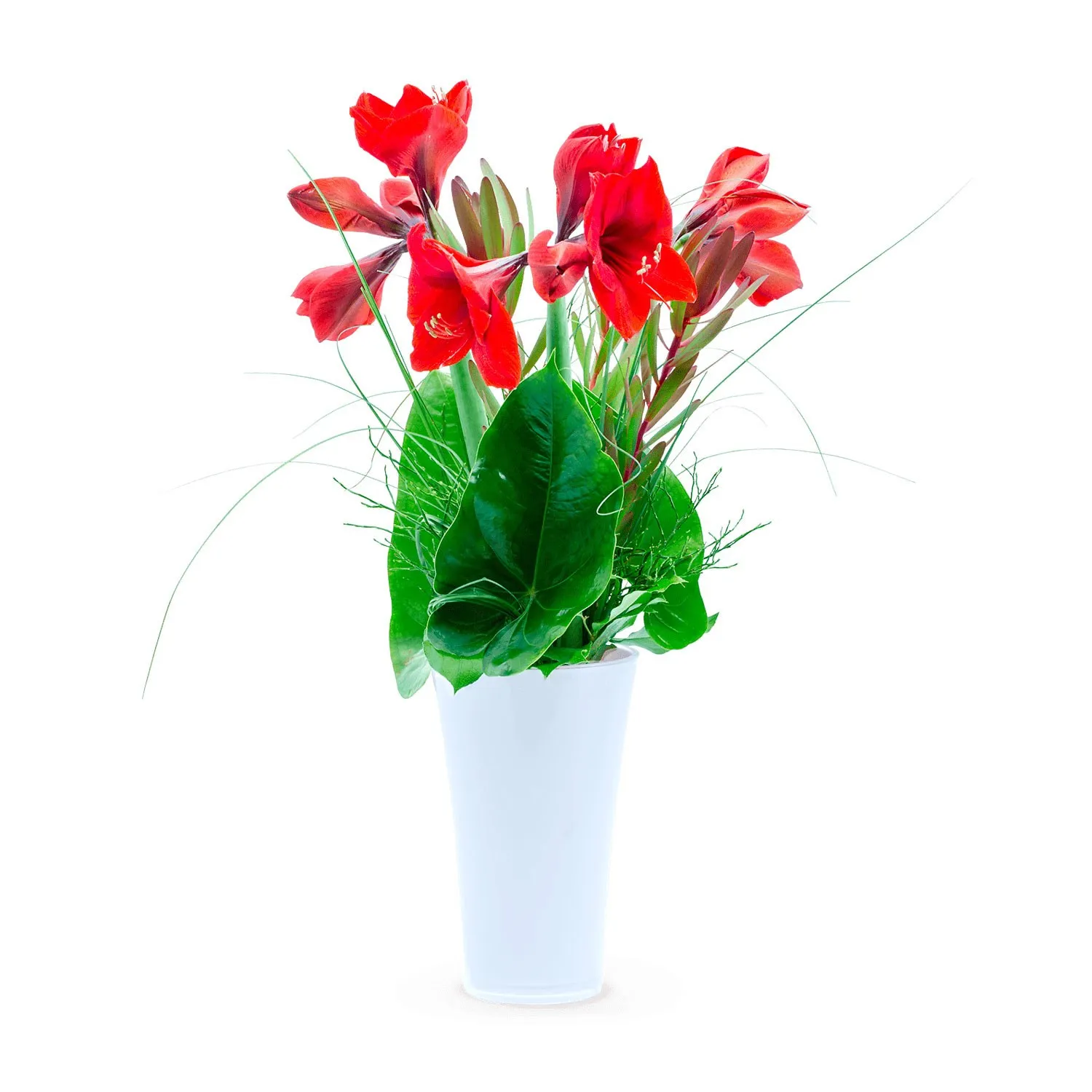 Everyone Deserves Flowers - Czechia