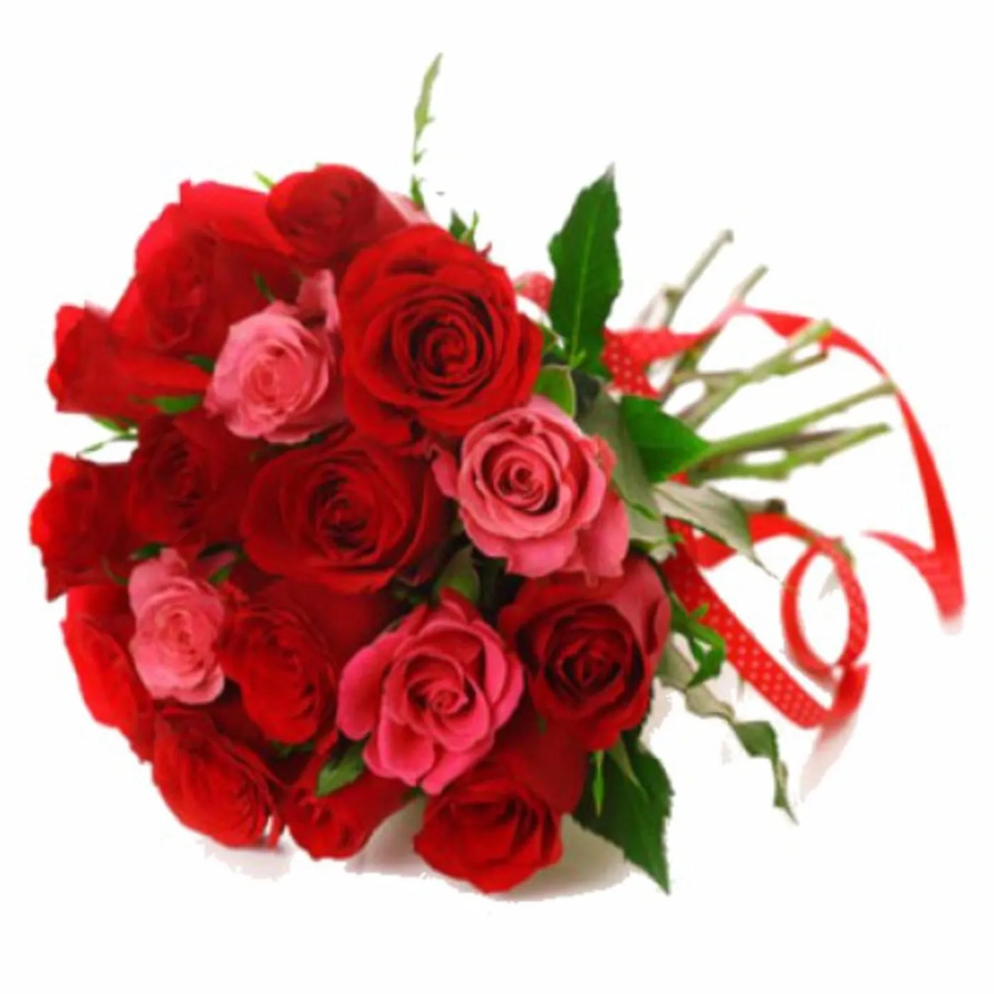 Pink & Red Roses - Lesotho