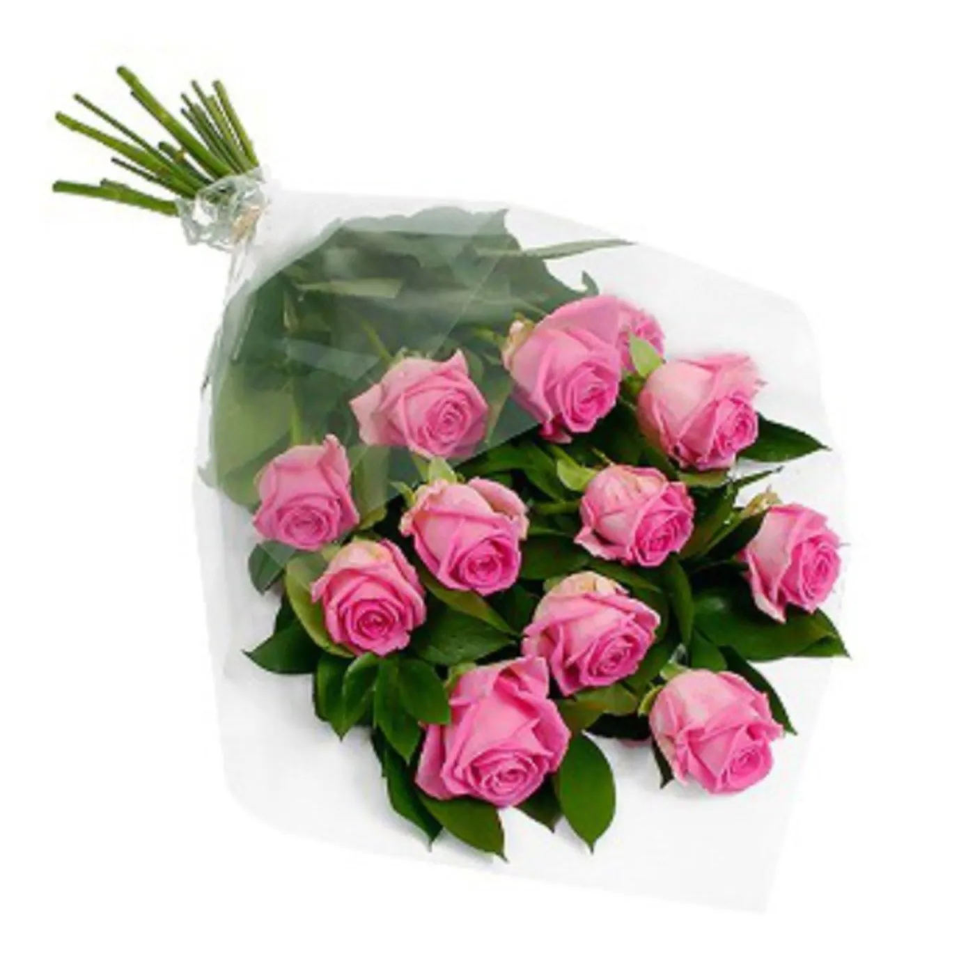 Roses for U - Lesotho