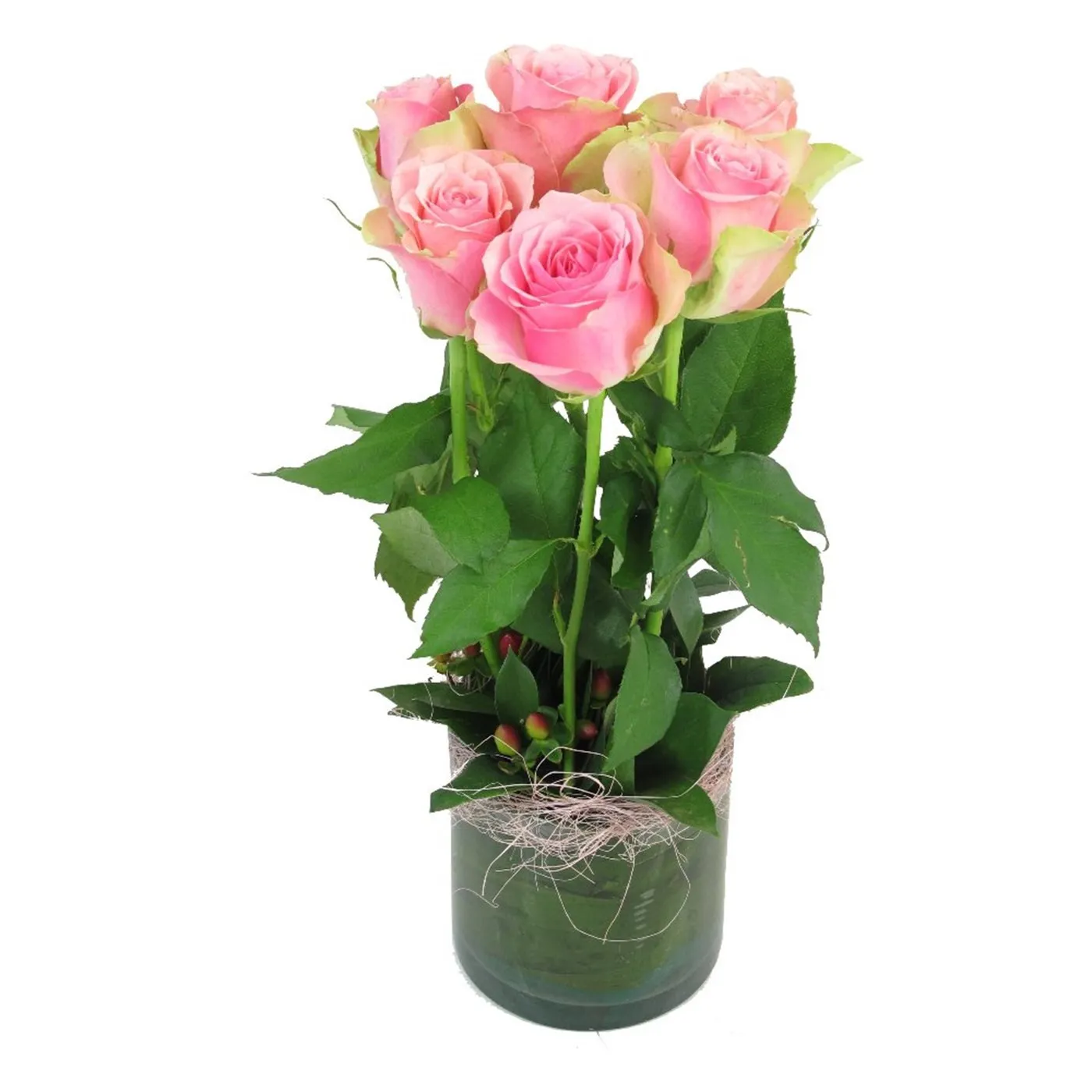 6 Pink Roses in Vase - Lesotho