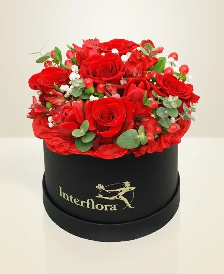 Czerwony Box