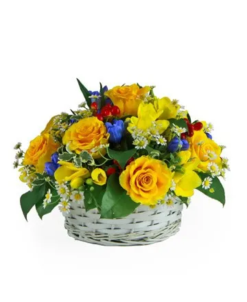 Special - Romania