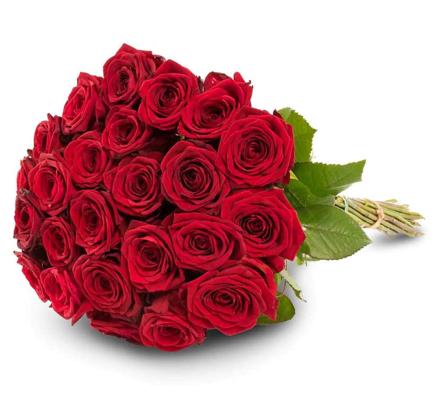 24 red roses - Finland