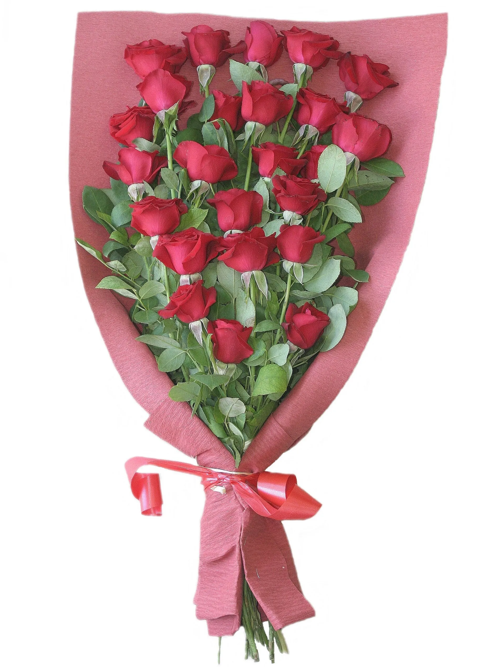 Bouquet of 24 Red Roses - Algeria