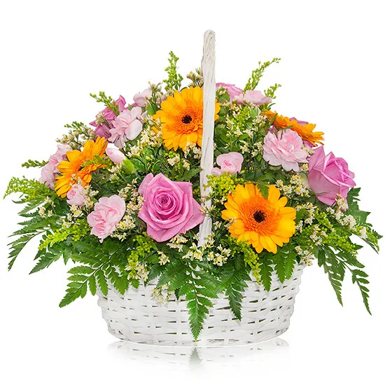 Composition colour garden, pink roses, gerberas, gypsophila in white wicker basket