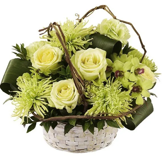 Vanila and Mint in a Basket - Kazakhstan
