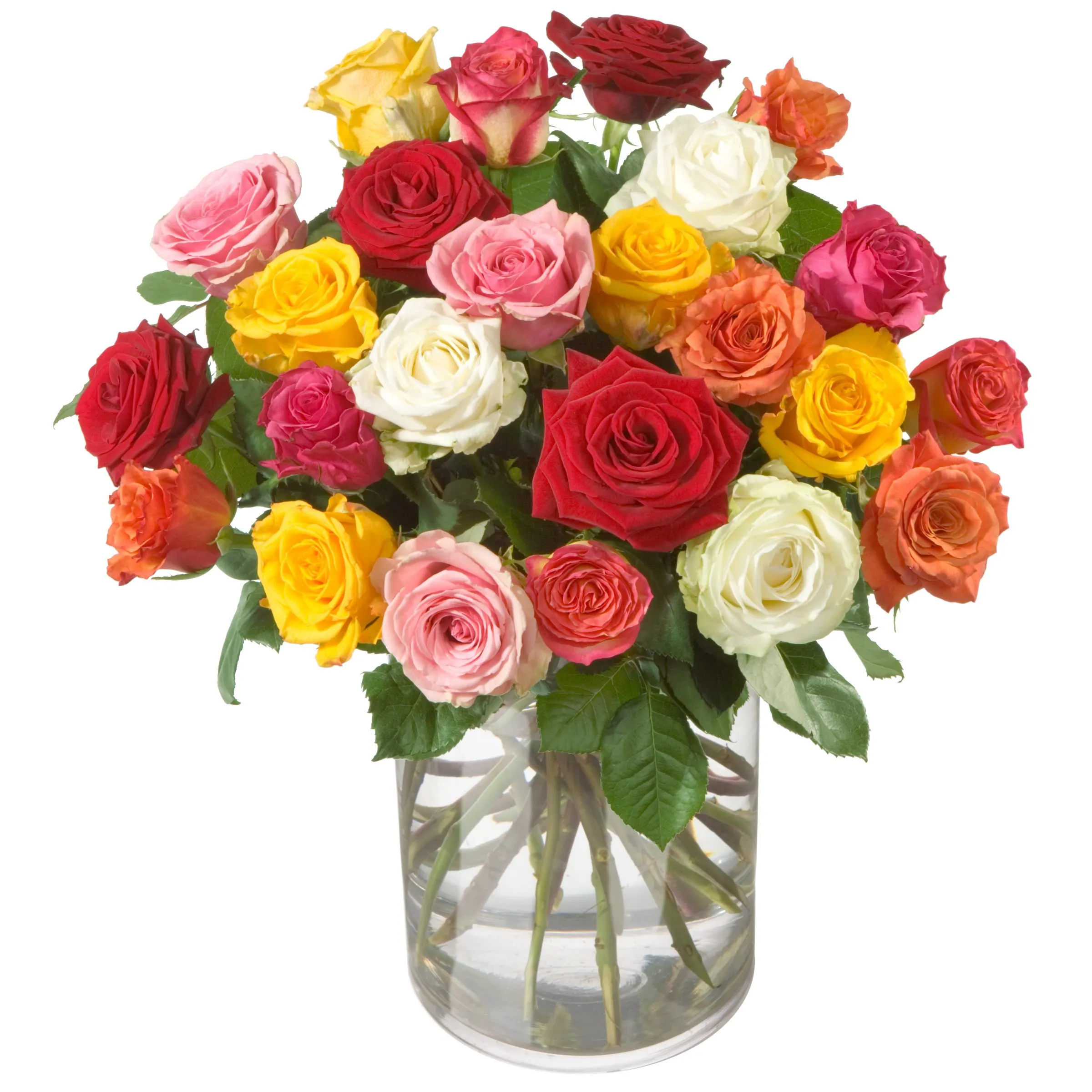 Bouquet of roses "Allure" (without vase) - Kyrgyzstan