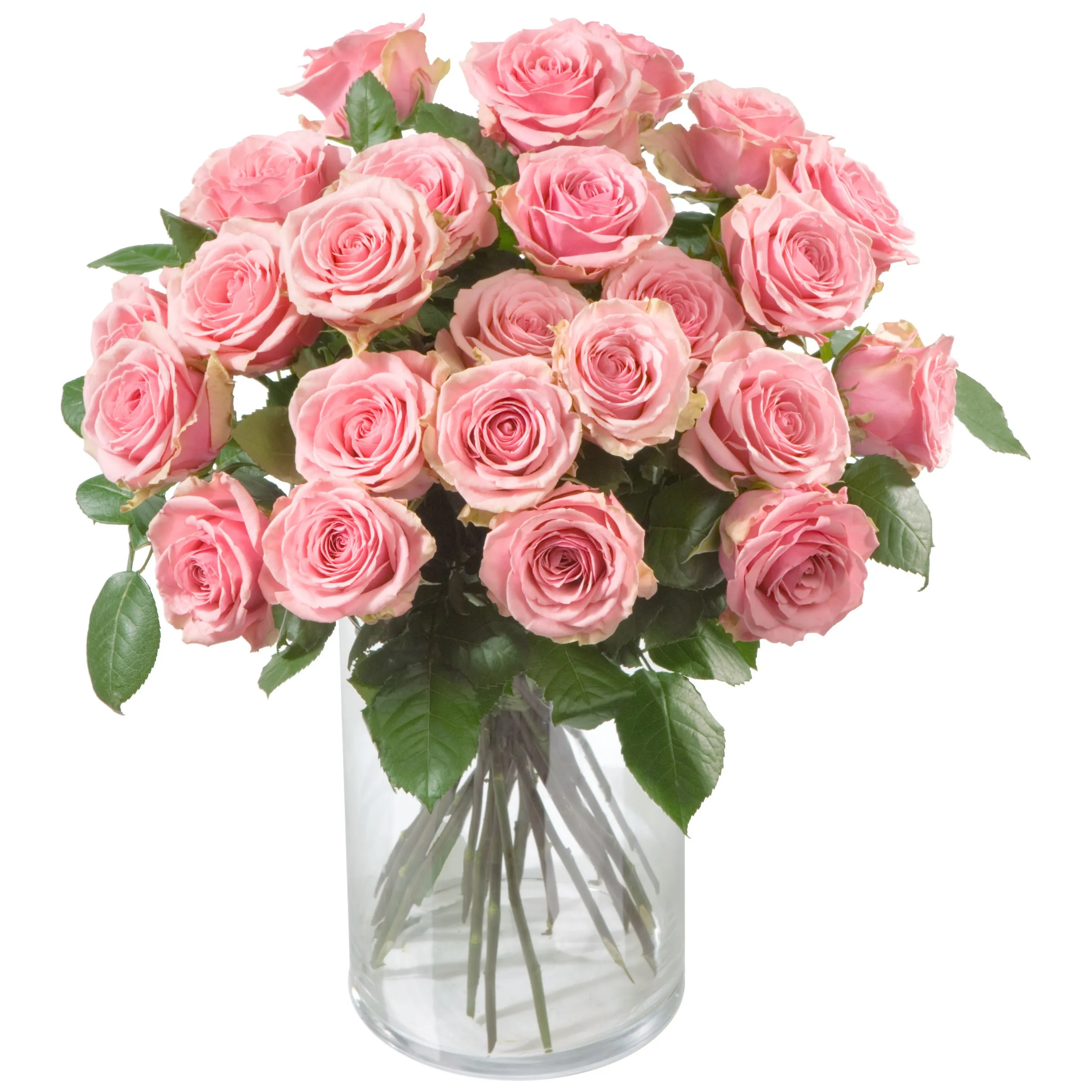 Bunch of Pink Roses - Turkmenistan