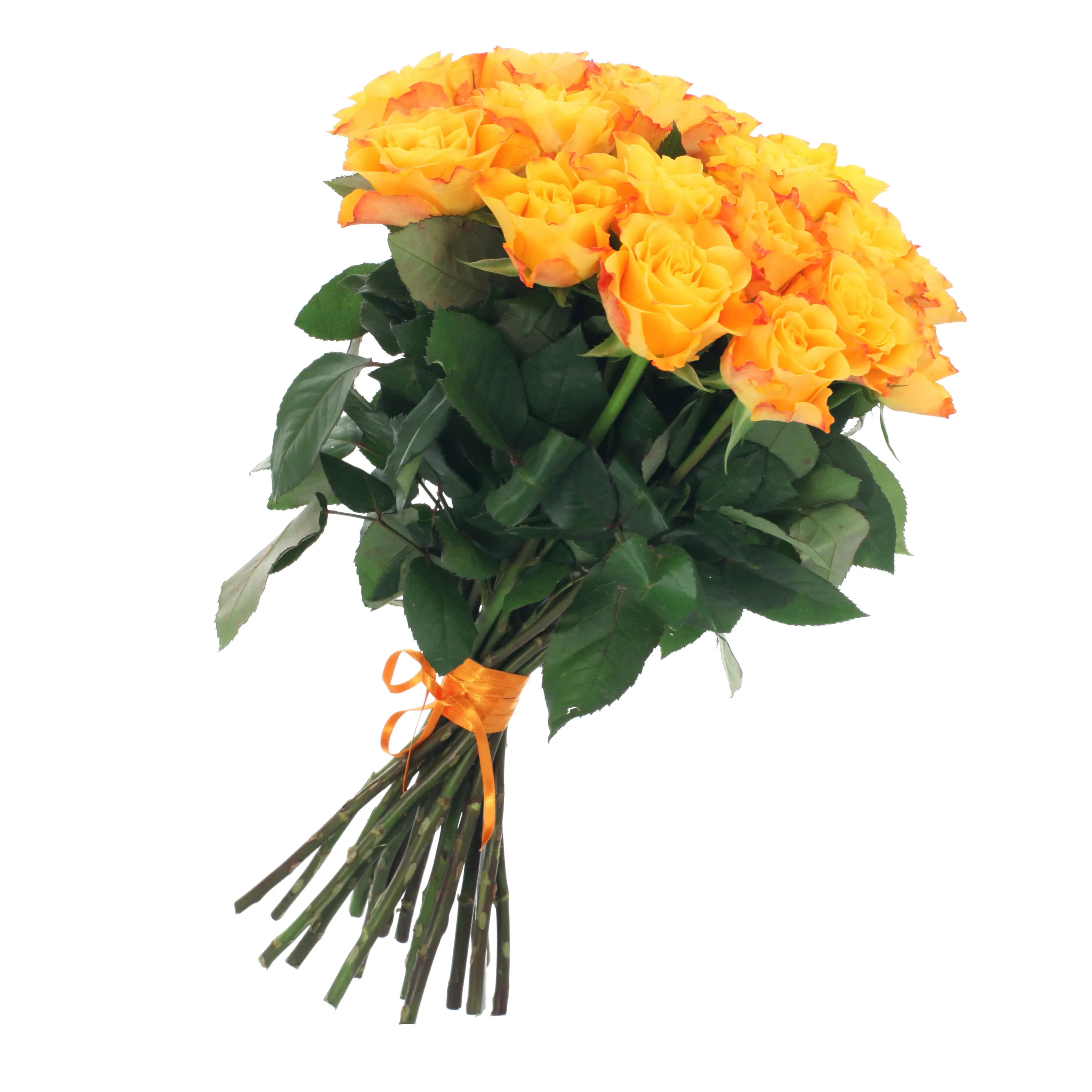 Bunch of 21 yellow roses - Turkmenistan