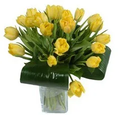 Bouquet of tulips “Warmest wishes” - Armenia