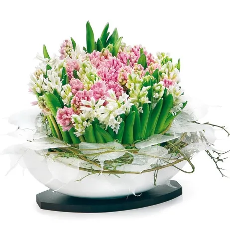Flowers in a pot, composition of cut hyacinths and willows, composition of hyacinths