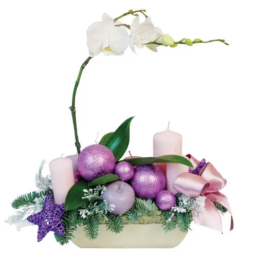 phalaenopsis roślina doniczkowa i jodła w naczyniu ceramicznym, świece bombki i jabłuszka ozdobne, kompozycja świąteczna