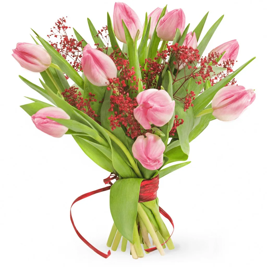 a bouquet of 11 tulips, 11 pink tulips, red baby's breath, wrapped with a red ribbon